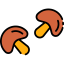 Mushroom icon 64x64