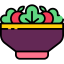 Salad icon 64x64