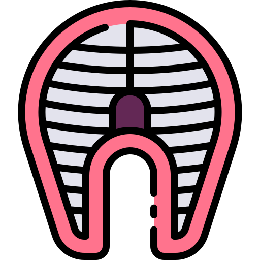 Fish icon