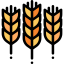 Wheat icon 64x64
