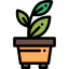 Plant icon 64x64