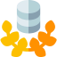 Database 상 64x64