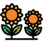 Sunflower icon 64x64