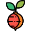 Radish icon 64x64