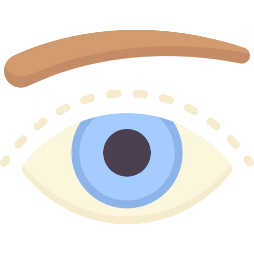 Eye icon