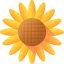 Sunflower アイコン 64x64