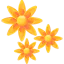 Anise icon 64x64