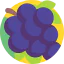 Grape icon 64x64