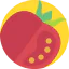 Tomato icon 64x64