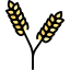 Пшеница иконка 64x64