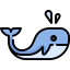 Whale icon 64x64
