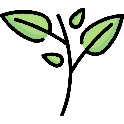 Branch icon