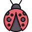 Ladybug 图标 64x64