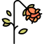 Rose icon 64x64
