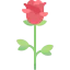 Rose icon 64x64