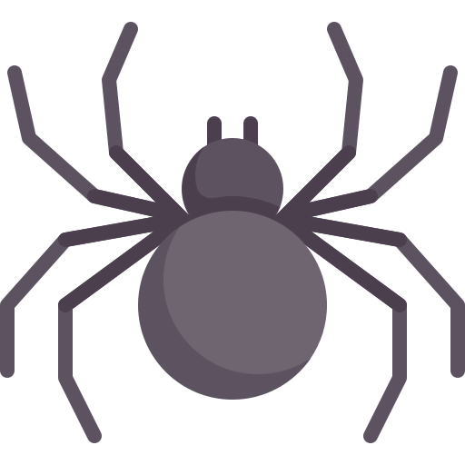 Spider icon