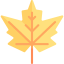 Maple leaf 图标 64x64