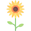 Sunflower アイコン 64x64