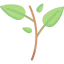 Branch Ikona 64x64