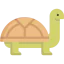 Turtle icône 64x64