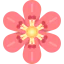 Flower icon 64x64