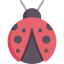 Ladybug 图标 64x64