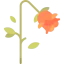 Rose icon 64x64