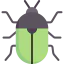 Beetle icône 64x64