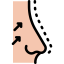 Rhinoplasty icon 64x64