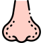 Nose Ikona 64x64