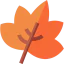 Dry leaf ícono 64x64