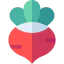 Radish icon 64x64