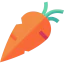Carrot Ikona 64x64