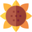 Sunflower アイコン 64x64