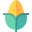 Corn Symbol 64x64