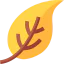 Dry leaf ícono 64x64