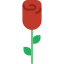 Rose icon 64x64