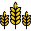 Wheat icon 64x64