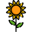 Sunflower icon 64x64
