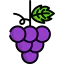 Grapes icon 64x64