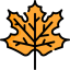 Maple leaf icon 64x64