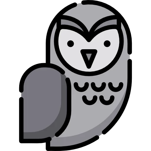 Owl icon