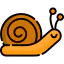 Snail icon 64x64