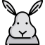 Rabbit icon 64x64