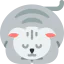 Cat icon 64x64