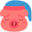 Pig icon 64x64