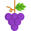 Grapes icon 64x64