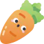 Carrot icon 64x64