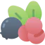 Berries Ikona 64x64
