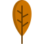 Leaf icon 64x64